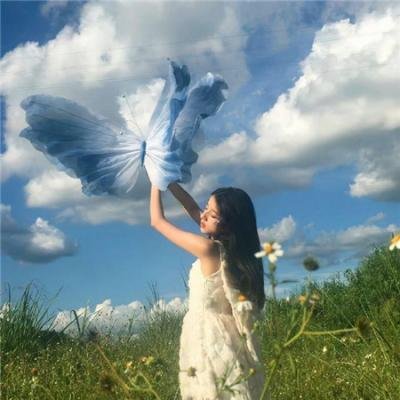 与鲨同游